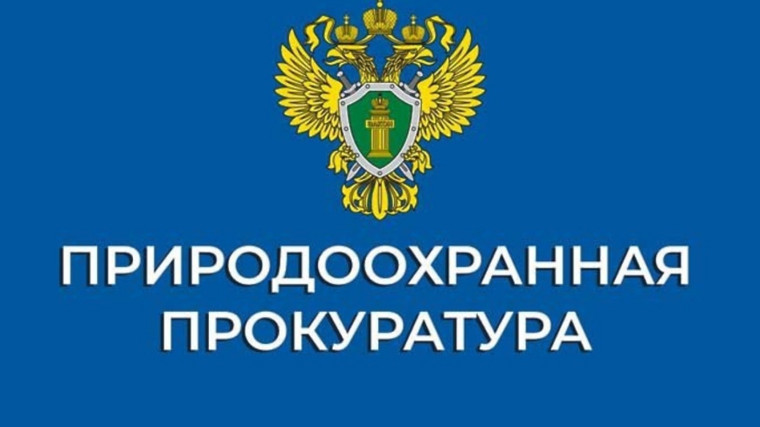 Печорская природоохранная межрайонная прокуратура информирует. Печорская природоохранная межрайонная прокуратура информирует.